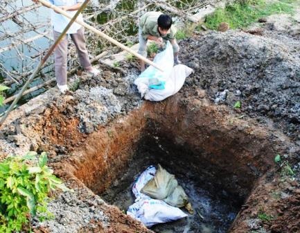 Thanh Hóa công bố dịch heo tai xanh - 2 Thanh Hóa công bố dịch heo tai xanh - 2